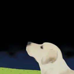 Gelbes Hundprofil